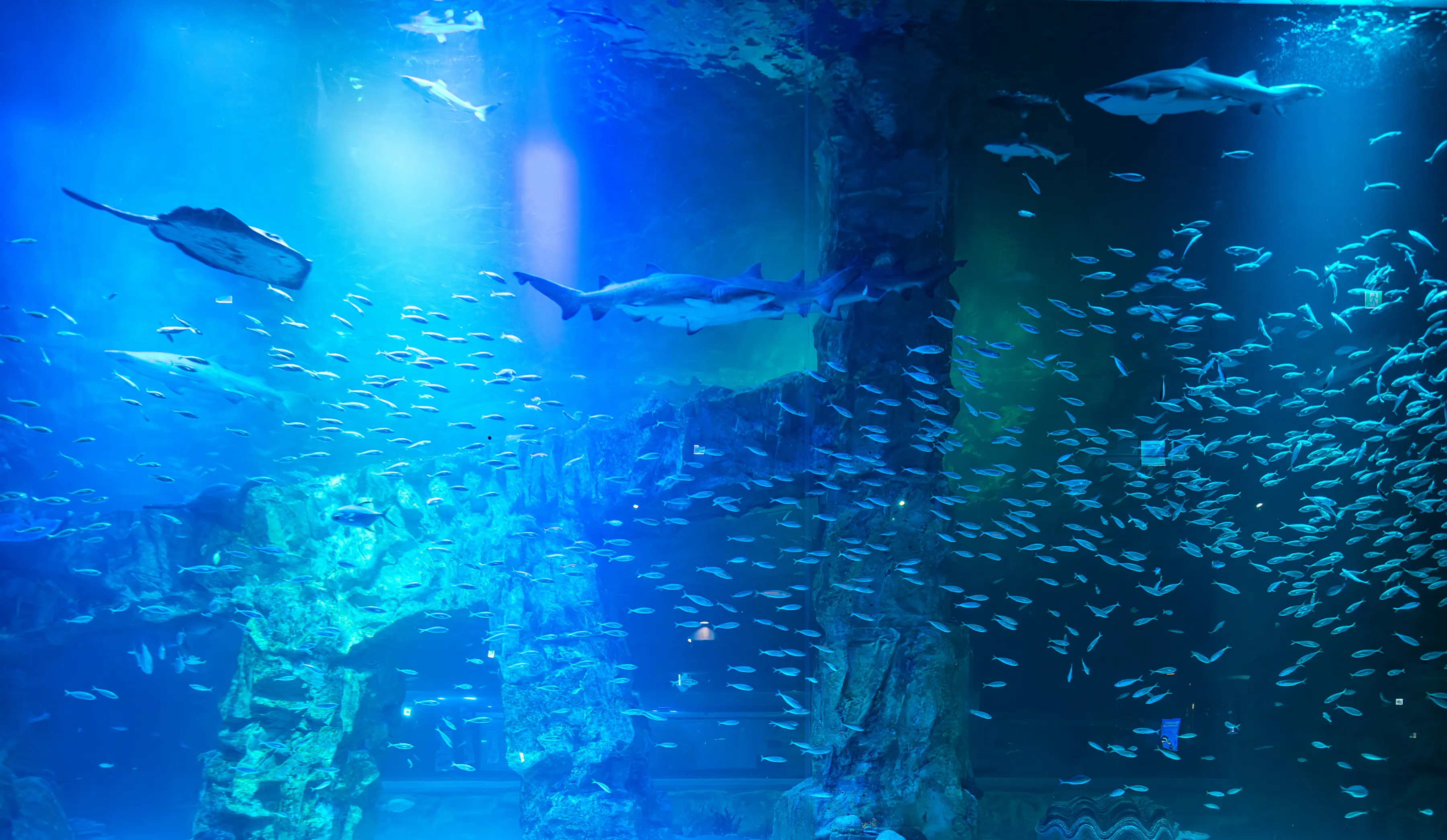 aquarium アクアリウム | ロッテワールドタワー・モール