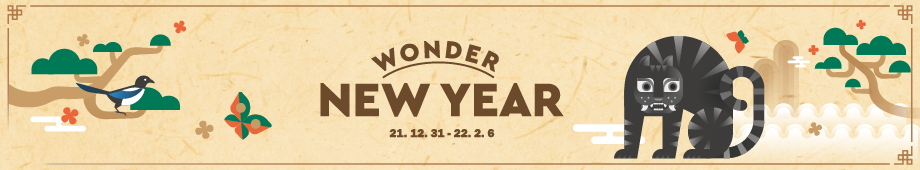 Wonder New Year